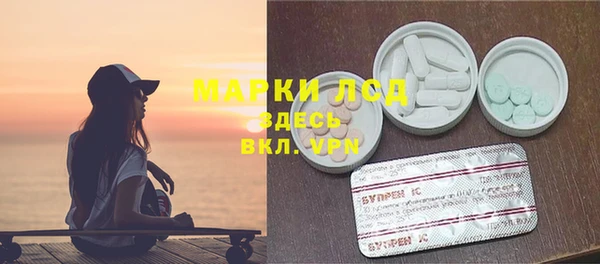 твердый Новодвинск