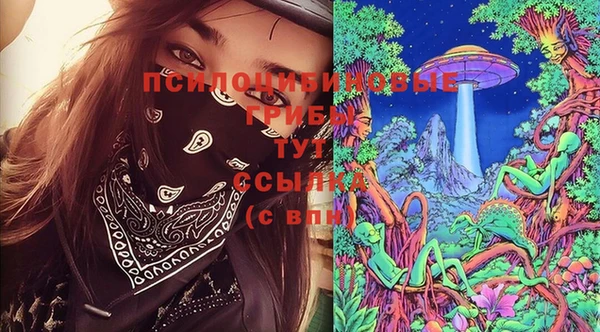 сатива Бутурлиновка